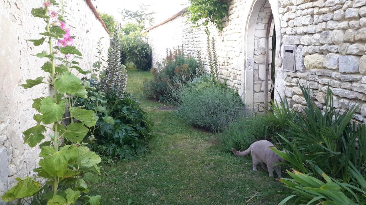Les Jardins De Clerjotte Bed & Breakfast Saint-Martin-de-Re Exterior photo